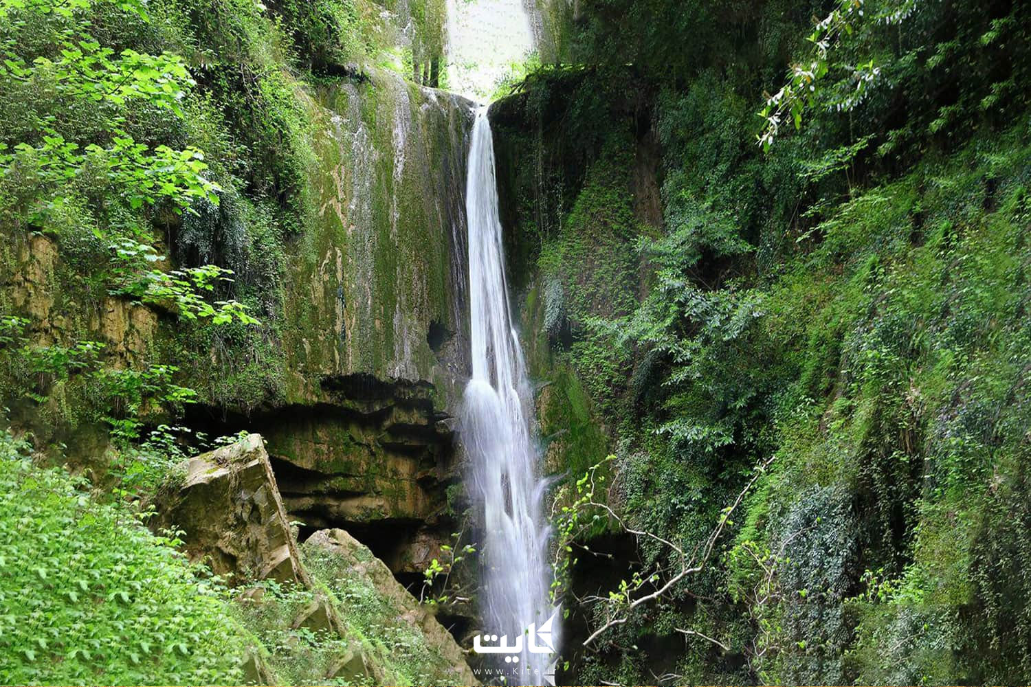 یک آبشار در میان صخره های سرسبز