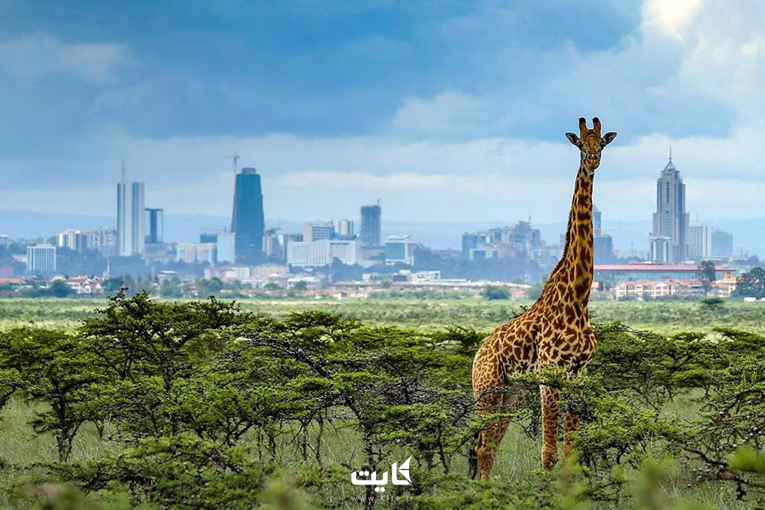 National Park Nairobi