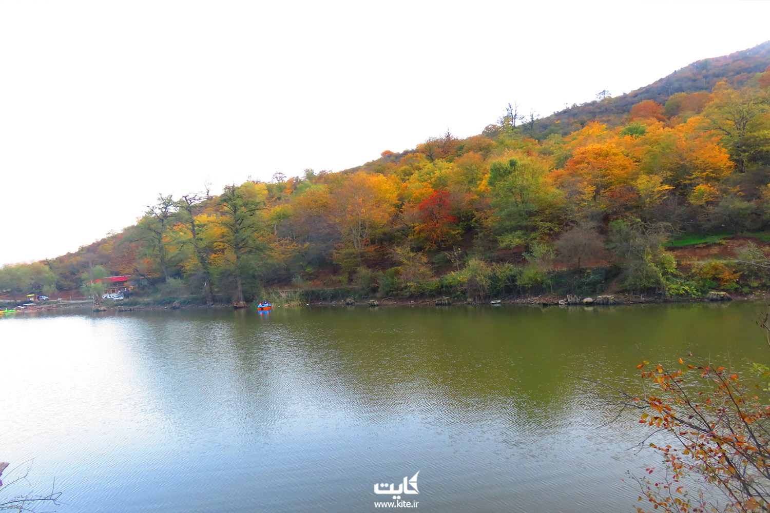 دریاچه در کنار درختان پاییزی