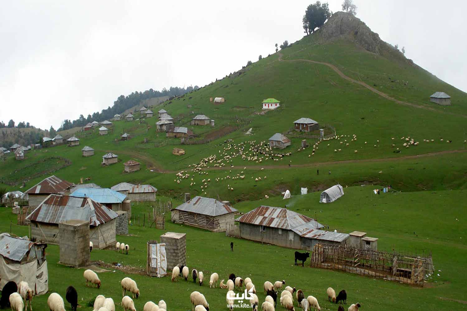 چندین کلبه روستایی و گوسفندان در حال چرا