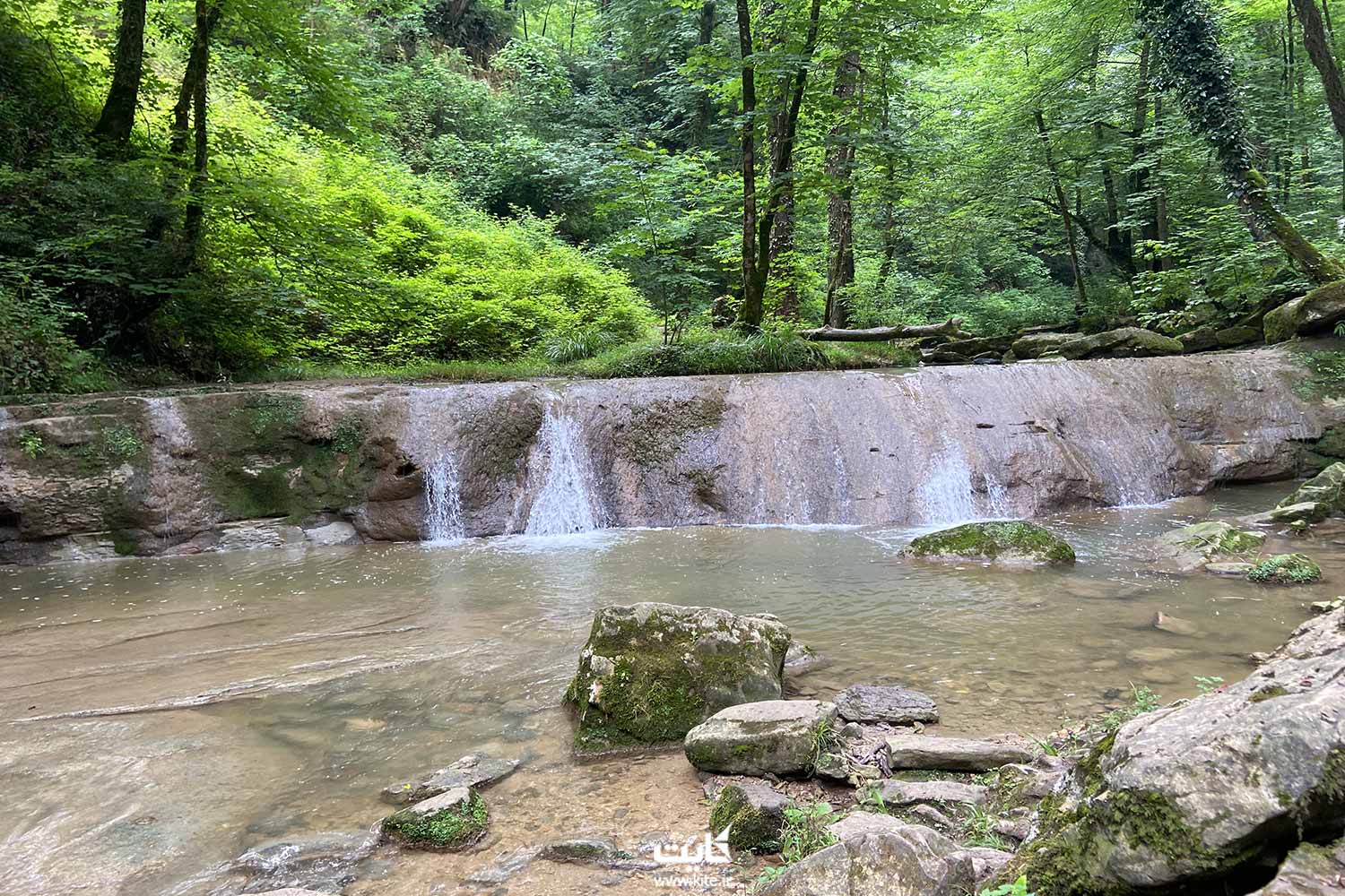 آبشار و حوضچه در دل جنگل
