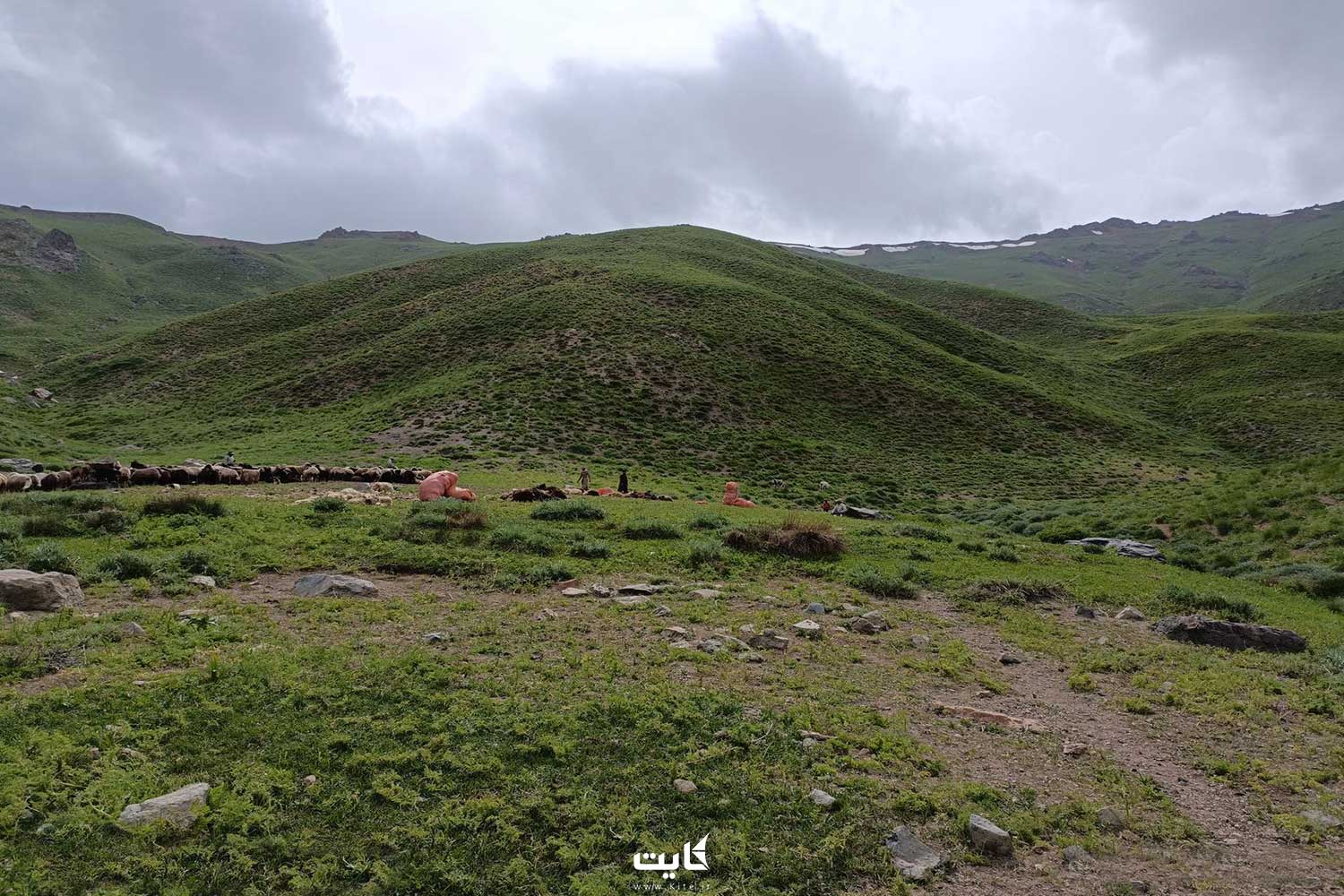 کوهستان سارال 6