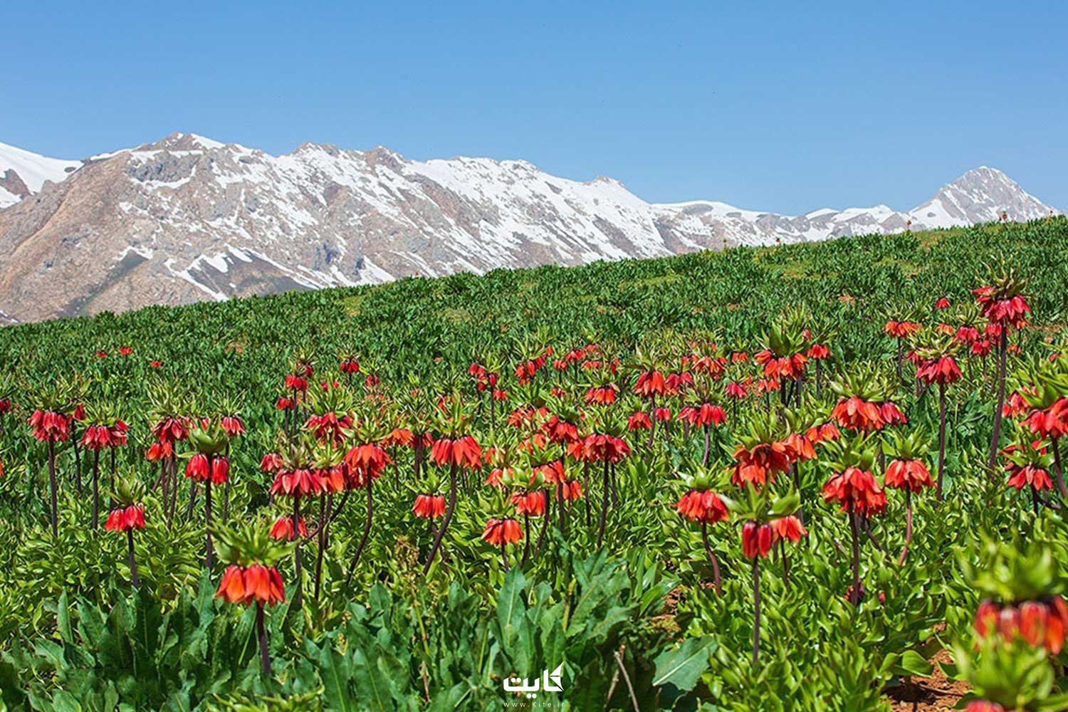 راهنمای سفر به الیگودرز 9