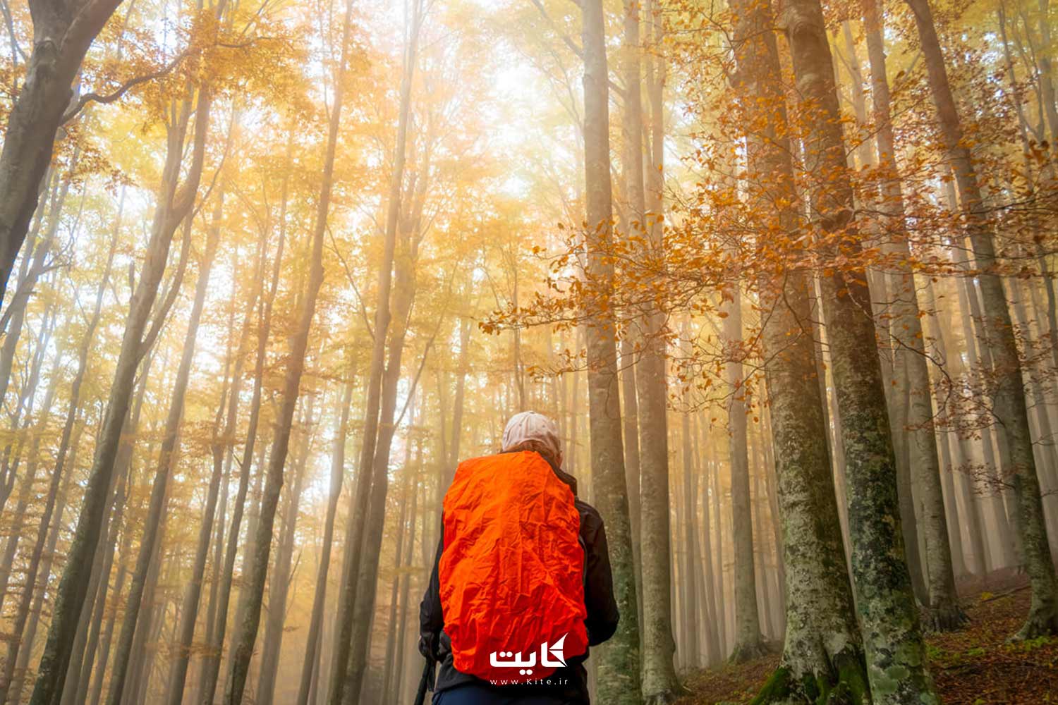 گیلان در پاییز 4