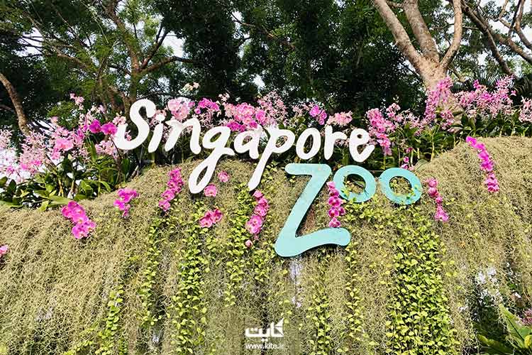 باغ-وحش-سنگاپور،-از-بهترین-باغ-وحش‌های-جنوب-شرقی-آسیا