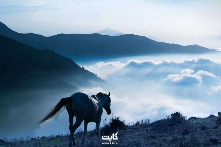 سفر به فیلبند با ماشین شخصی