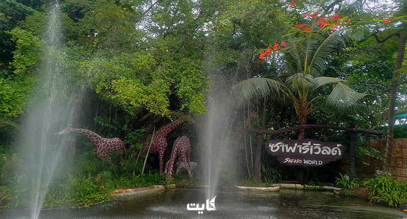 باغ وحش‌های تایلند | 6 باغ وحش معروف در سراسر تایلند