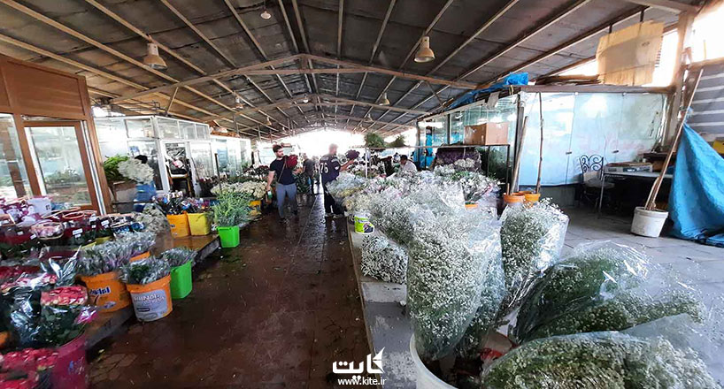 بازارِ گلِ تهران | معرفی بهترین جا برای خرید گل با ارزان‌ترین قیمت