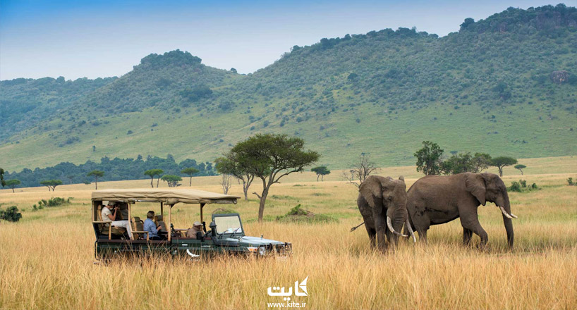 پارک‌های حیات‌ وحش کنیا | تجربه جومانجی در آفریقا