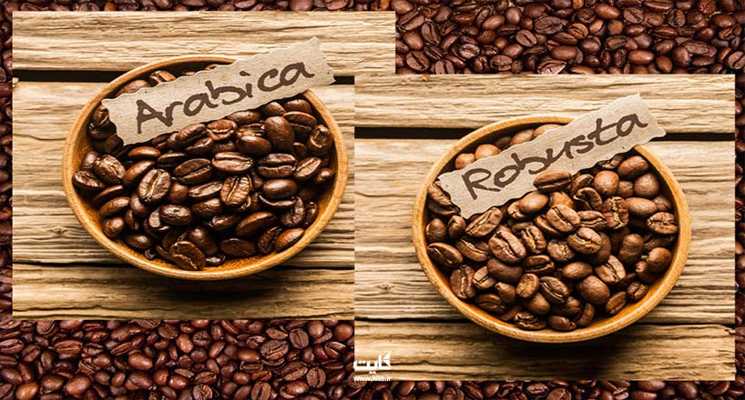 قهوه عربیکا چیست و بهترین قهوه عربیکا را از کجا تهیه کنیم؟ 