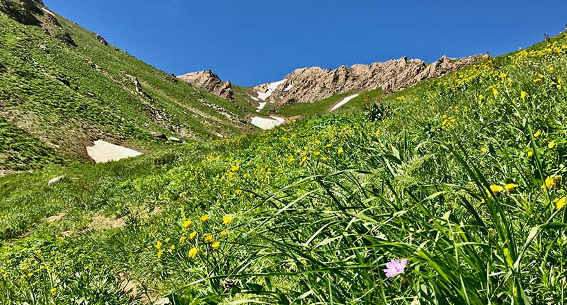 کوهستان سارال | راهنمای سفر به کوهستان سارال، آدرس و تصاویر